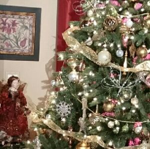 Meet your Posher, Cara