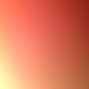 Meet your Posher, Shane