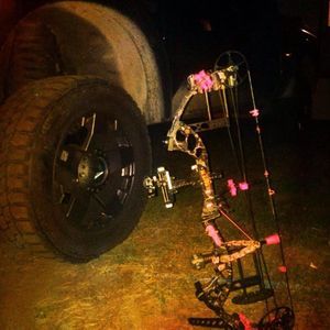 Meet your Posher, Dylan