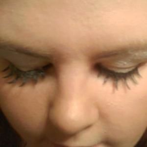 Meet your Posher, Bobbie