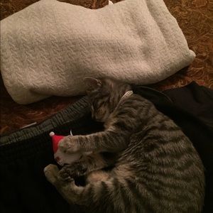 Meet your Posher, Olivia