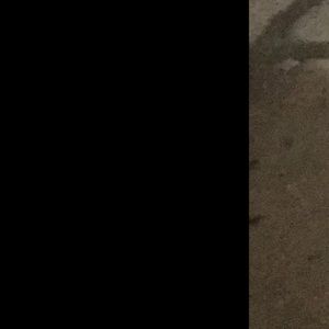 Meet your Posher, Caysha