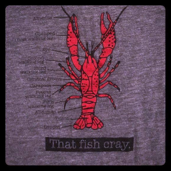 Sale❣️American Apparel NOLA Toddler Shirt⚜️