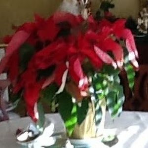 Meet your Posher, Joanna