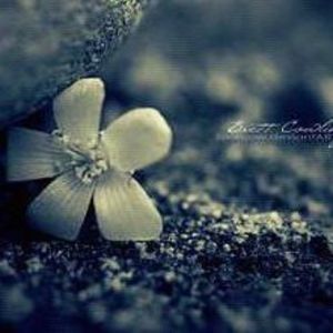 Meet your Posher, Kenia