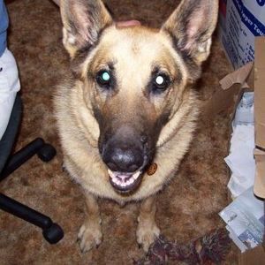 Meet your Posher, Janis