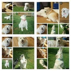 Meet your Posher, Denise