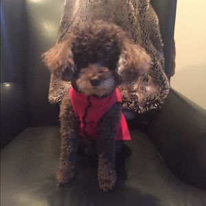 Meet your Posher, Mellisa