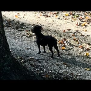 Meet your Posher, Joseph