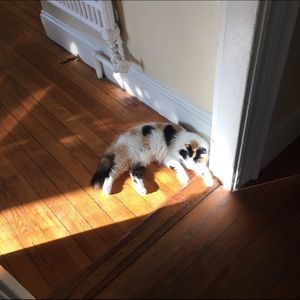 Meet your Posher, Laura