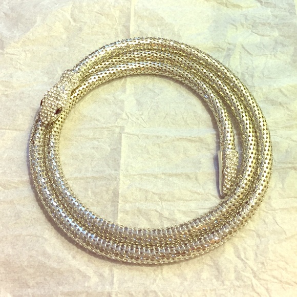 Silver snake accessory
