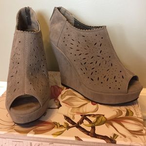 Delicacy Suede Wedges