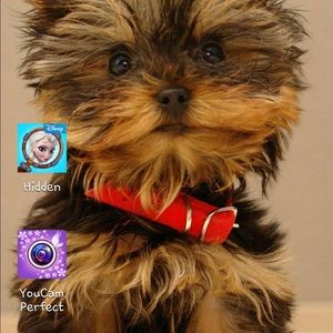 Meet your Posher, Pamela