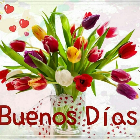 Meet your Posher, Yvonne - Picture 2 of 4