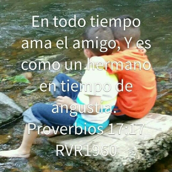 Meet your Posher, Yvonne - Picture 3 of 4