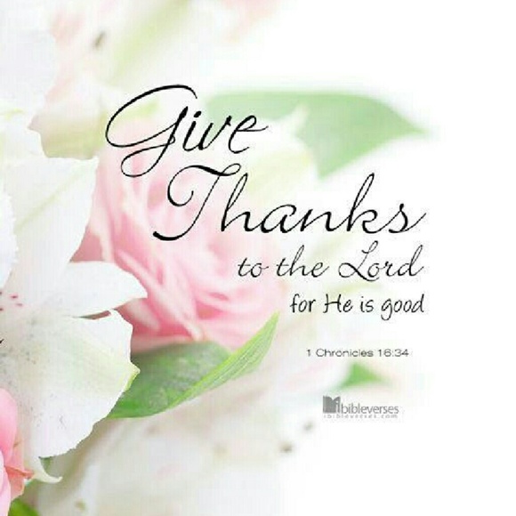 Meet your Posher, Yvonne - Picture 4 of 4