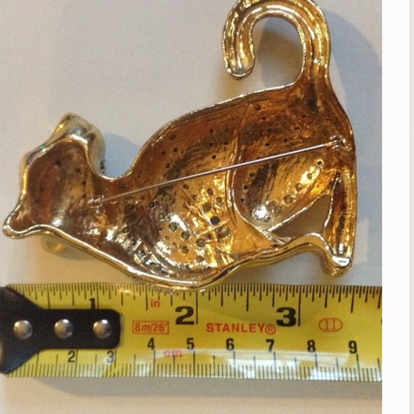Fashion Jewelry | 3 1/2" XLarge Cat Pin (Read) - Picture 5 of 5