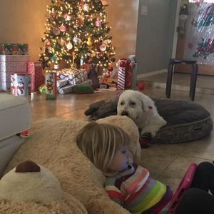 Meet your Posher, Suzy