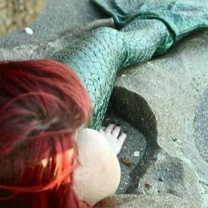 Meet your Posher, Holly