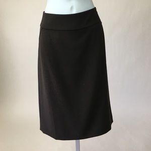 Ann Taylor skirt