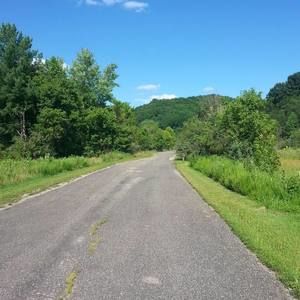 Meet your Posher, Darrell