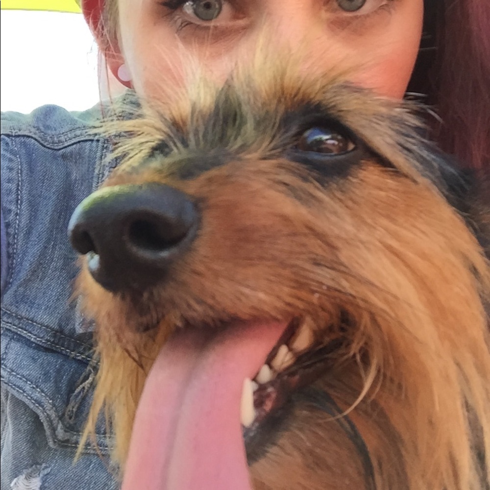 Meet your Posher, Courtney