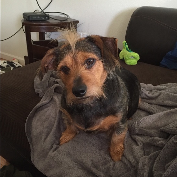 Meet your Posher, Courtney - Picture 2 of 7