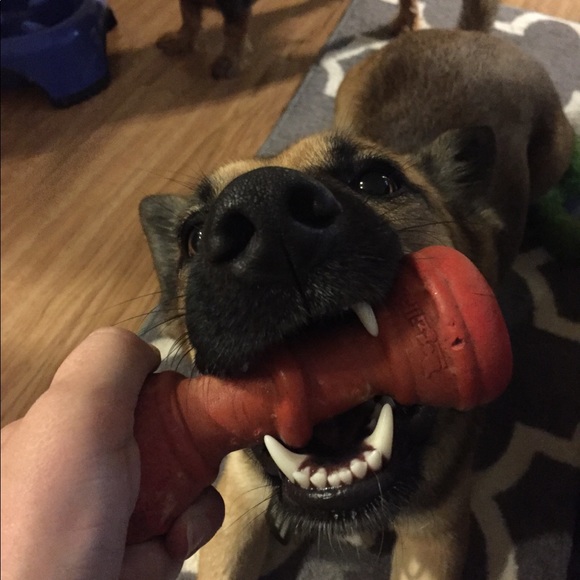 Meet your Posher, Courtney - Picture 3 of 7