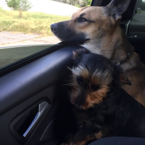 Meet your Posher, Courtney - Picture 4 of 7