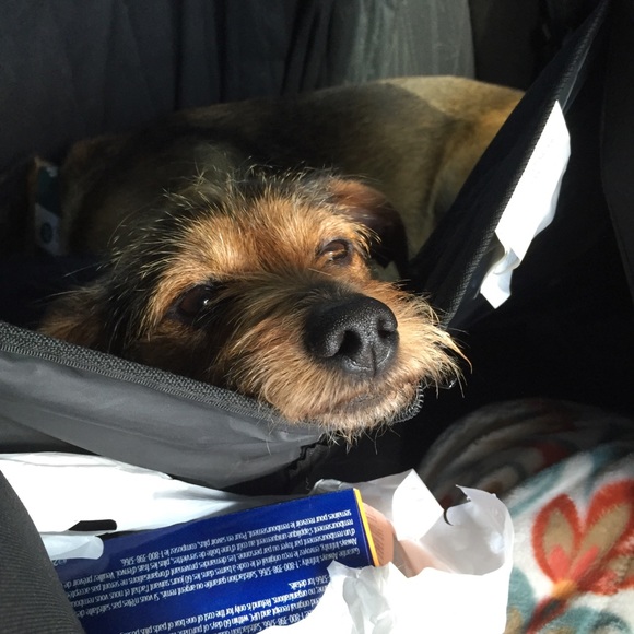 Meet your Posher, Courtney - Picture 5 of 7