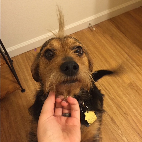 Meet your Posher, Courtney - Picture 6 of 7