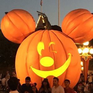 Meet your Posher, Maddie