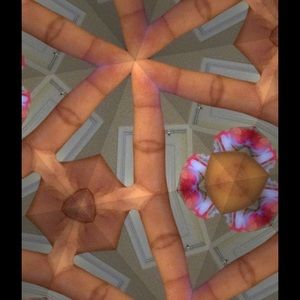 Meet your Posher, Viveca