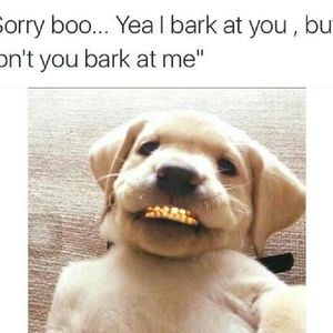 Meet your Posher, Roshawnda