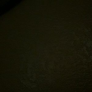 Meet your Posher, Dominick