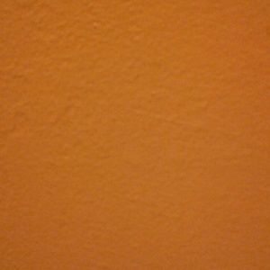 Meet your Posher, Kandy