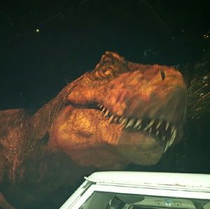 Meet your Posher, Jill