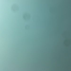 Meet your Posher, Lesly