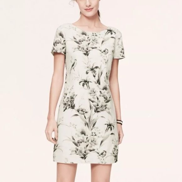 Loft dress size 16