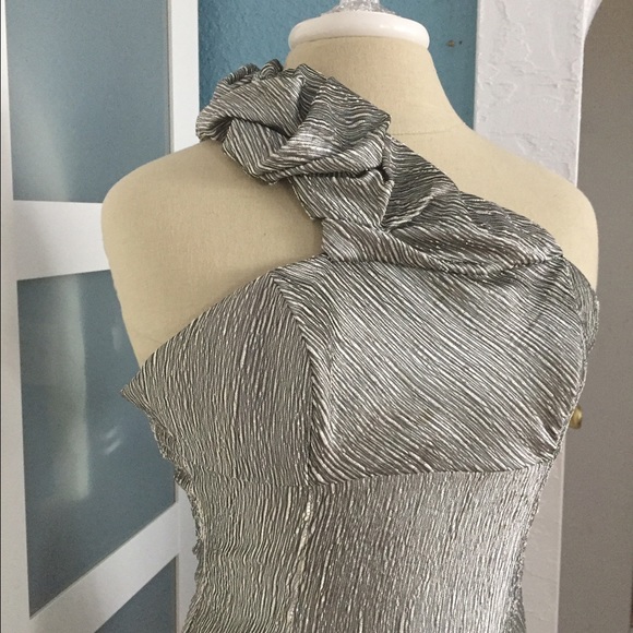 Silver Dress - Picture 2 of 4