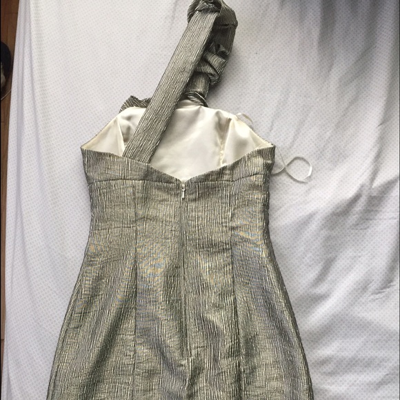 Silver Dress - Picture 3 of 4