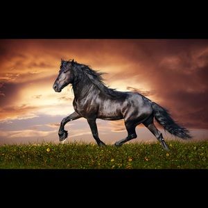 Meet your Posher, Bryan