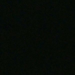 Meet your Posher, Jamar