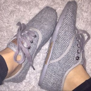 Gray TOMS "Cordones"