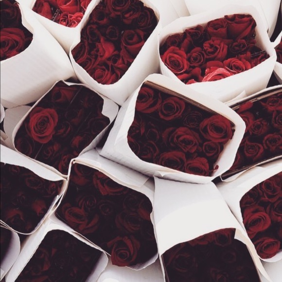 IM A SUGGESTED USER!! ✨🍾🎉 yay! - Picture 5 of 6