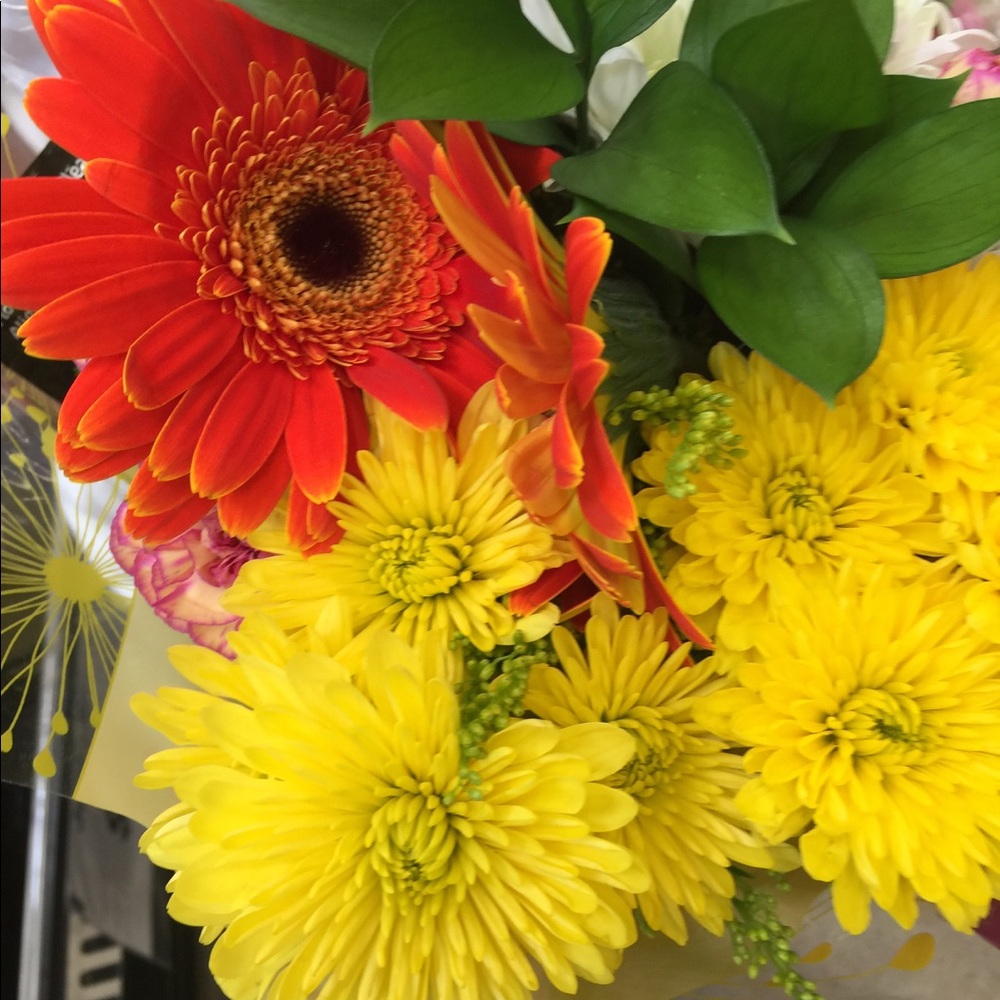 Meet your Posher, Noemi