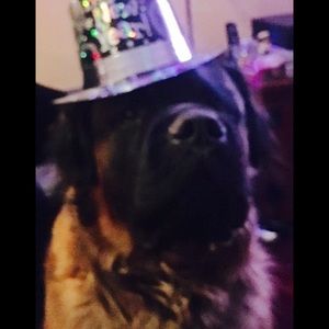 Meet your Posher, Rita