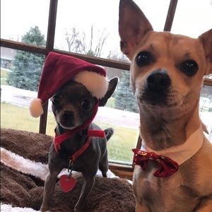 Meet your Posher, Aaron