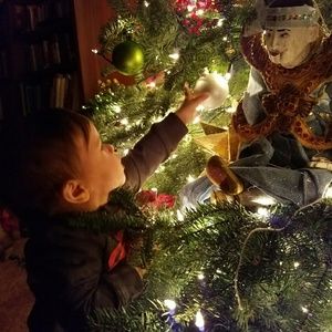 Meet your Posher, Shannon