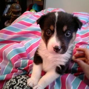 Meet your Posher, Tracy